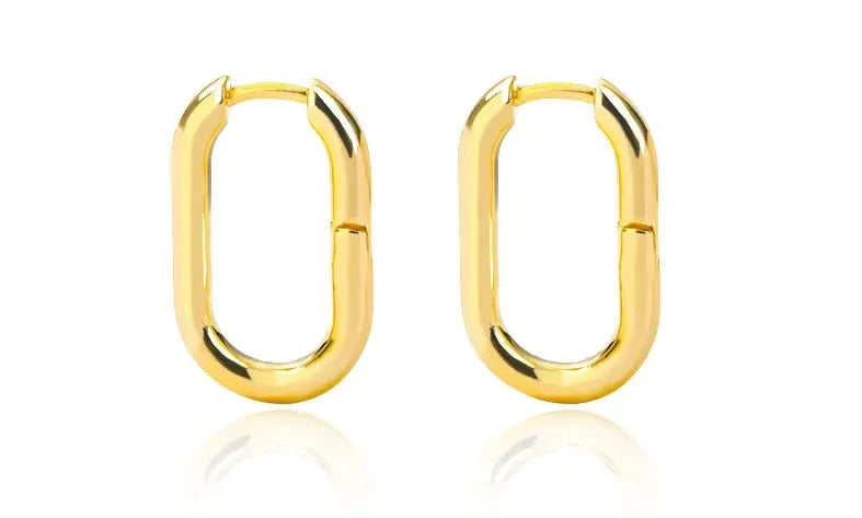 Mini Stainless Steel Gold Hoop Earrings